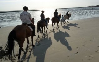 Balade à cheval en Baie d’Authie - débutant 1h